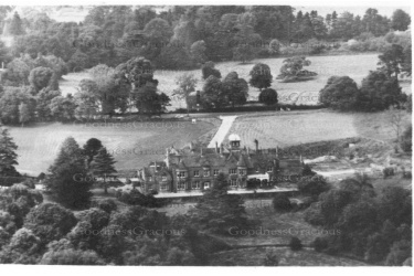 NUT 01 NUTFIELD Cape Nor