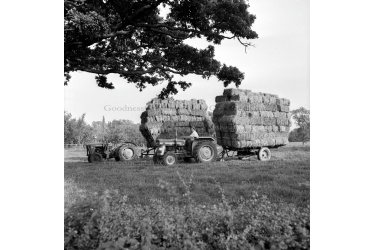 batch_lei_190_haymaking_sunnyoak_farm