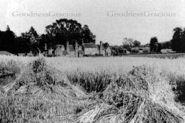 bet_14_school_c1930_14a-4-68