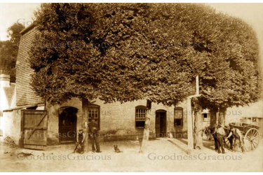 bet_254a_the_dolphin_inn_30-22