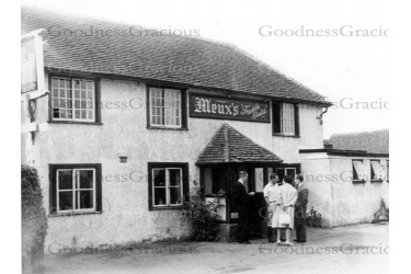 bet_495_old_spotted_cow_5-1-51