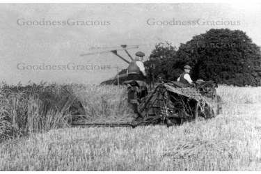 bet_585__bylett_john_and_ted_haymaking