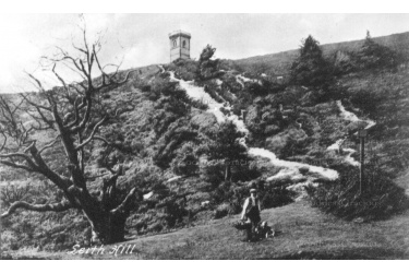 col_63_leith_hill_tower_8-2-53
