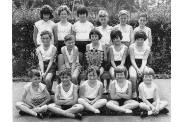 lei_227_sports_shield_1963____web
