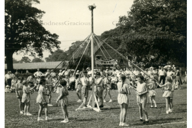 lei_237_maypole_in_rec___web