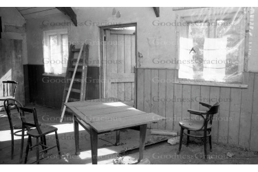 lei_248_old_school