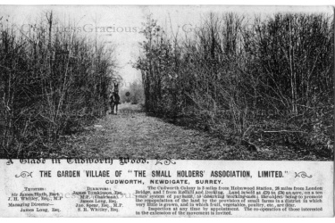 newd_68_cudworth_garden_village