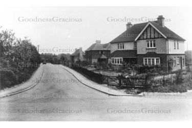 nut_28_holmesdale_road_13-7-147