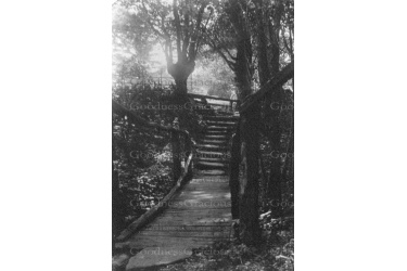 oak_14_church_steps_1913_25-3-107