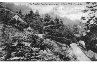 peas_02_pitch_hill_1911