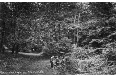 ran_04_woods_1906