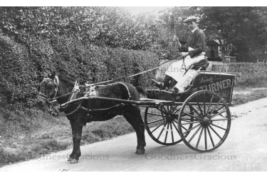 wes_101turner_had_his_butchers_shop_in_high_street_dorking