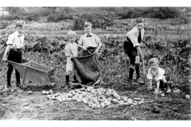 wes_35_burrell_family_picking_potatoes_25-1-87